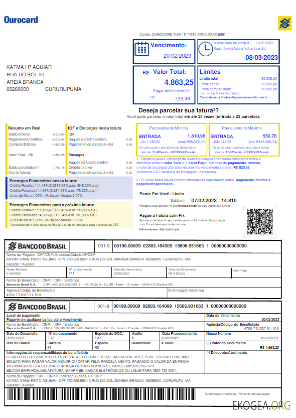 BRASIL BANCO DO BRASIL utility bill Word and PDF template